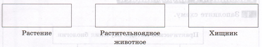 Задание рисунок 1